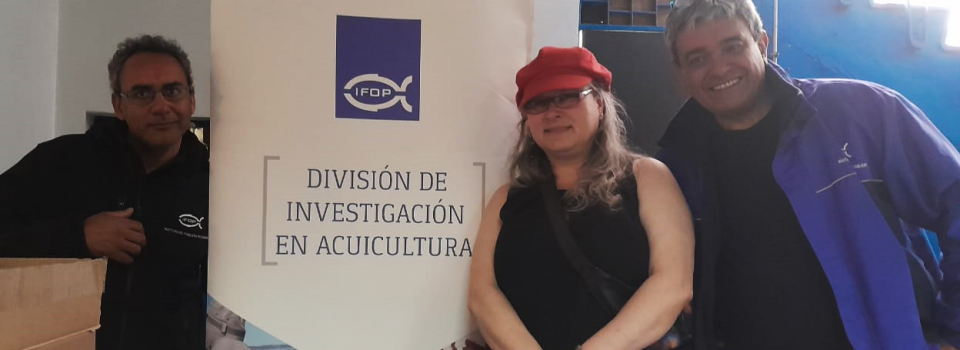 IFOP Puerto Montt, participa en muestra interactiva en programa de inclusión, en el día de la educación especial