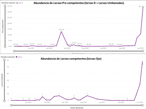 Figure 3: Inter-annual comparison between 2021-2022 season and 2022-2023 pre-competent larvae abundance season (D larvae + Umbonate larvae) and Competent (eye larvae) in Estero Castro.