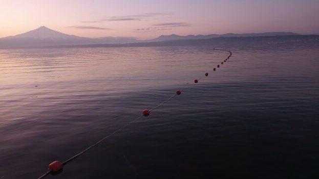 IFOP invita taller “Evaluación y Seguimiento de la Situación Sanitaria de peces silvestres en Agua Dulce y Mar, 2021-2022”