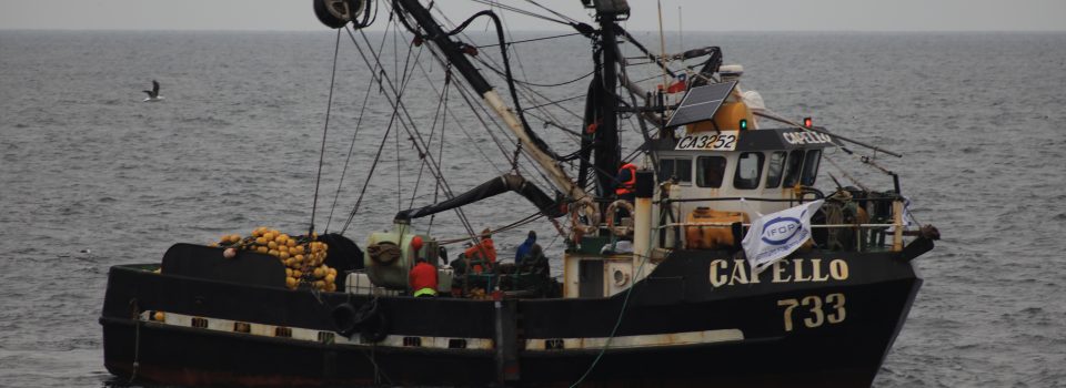 Biobío region now accounts modern scientific equipment for  sardines and anchoveta research