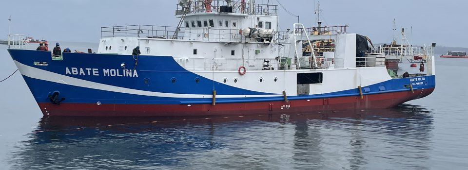 Abate Molina Scientific ship sailed to investigate horse mackerel between Arica and Valparaíso