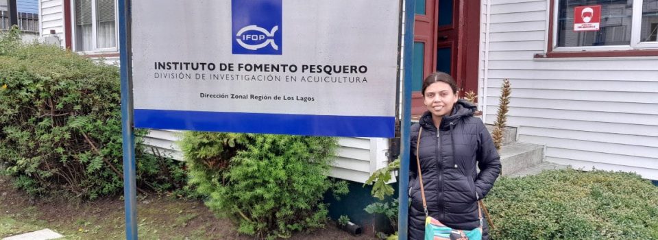 IFOP Fisheries Development Institute Aquaculture Division is pleased to receive two Colombian interns who arrived in Chile during February 2023