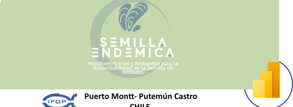 Visualizador de datos “Semilla endémica” incorpora nuevo producto asociado a “Encuestas al sector mitilicultor”