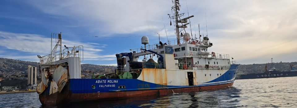 Abate Molina Scientific Vessel set sail to investigate horse mackerel between the Regions of Valparaíso and Los Lagos