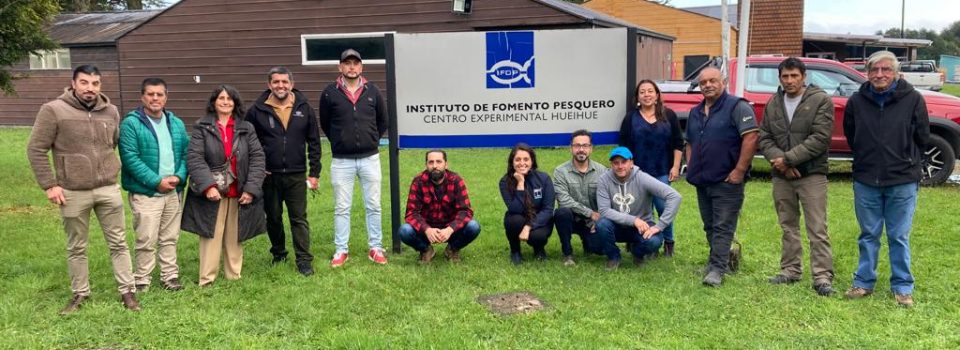 Levantamiento de un Plan Estratégico de mediano y largo plazo para la Acuicultura de Pequeña Escala (APE) en Chile.