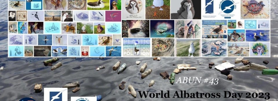 19 de junio Día Mundial del Albatros el tema de este año es “Contaminación por plásticos”