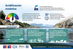 3- Acidificación oceánica