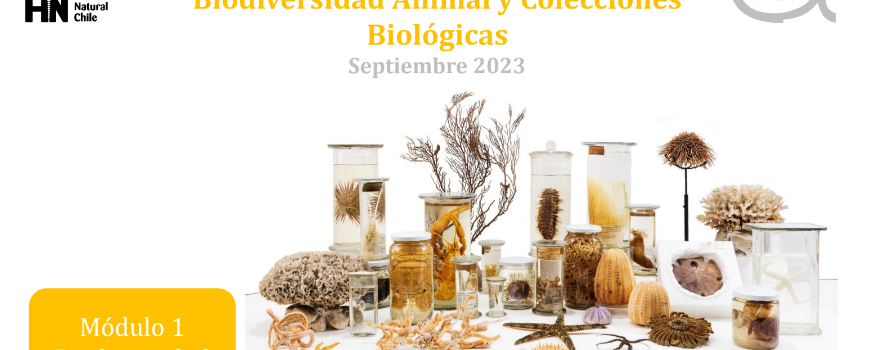 IFOP Scientific Observers receive training in animal biodiversity and biological collections