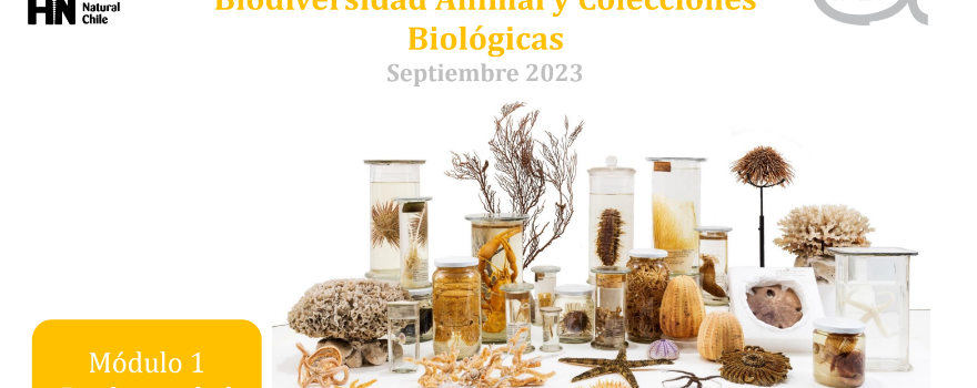 Observadores Científicos de IFOP se capacitan en biodiversidad animal y colecciones biológicas