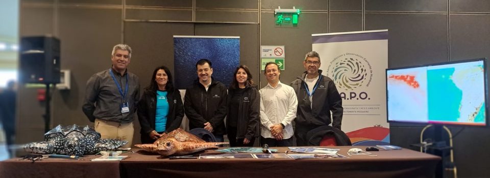 Proyecto Sistema de Alerta, Pronóstico y Observación de la Corriente de Humboldt realiza difusión en Congreso Internacional sobre Otolitos
