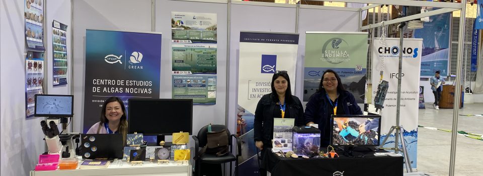 Educational, didactic, and entertaining IFOP stand at Valdivia Nautical Fair