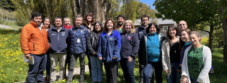 Southern Science Node and public services identify priority lines of research for aquatic ecosystems of Aysén and Magallanes