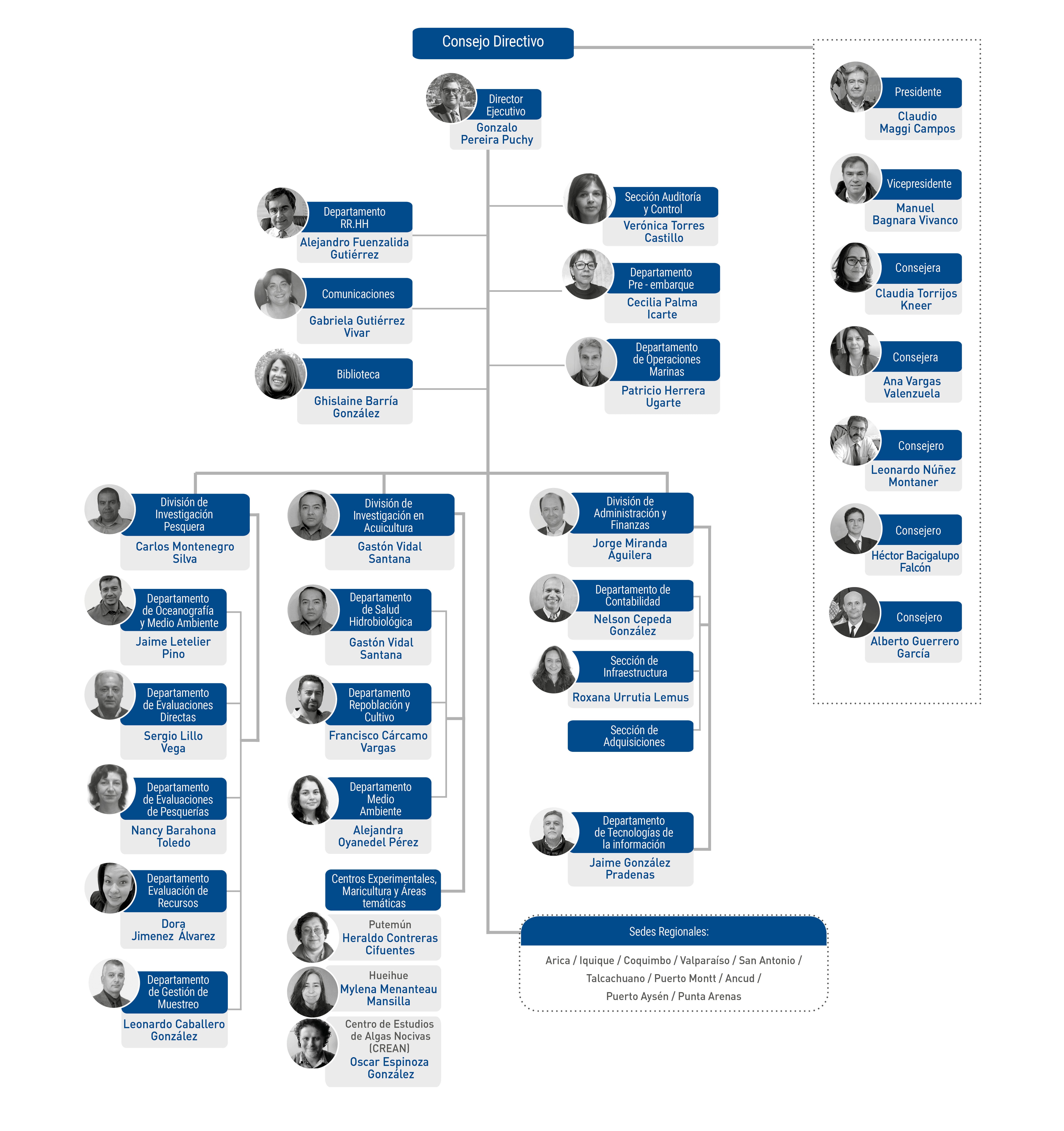 Organigrama IFOP