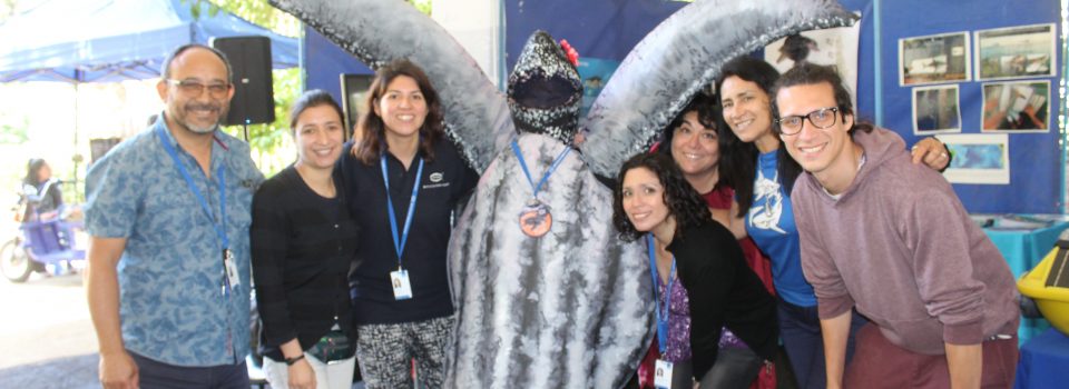 IFOP participó 2ª Feria del Libro Cultural y Ciudadana realizada en Viña del Mar