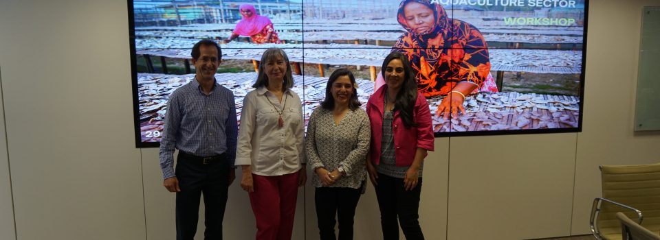 Investigadoras de IFOP Nancy Barahona y Andrea Araya participan en Taller de protección social para el sector de la pesca y acuicultura en Brasil