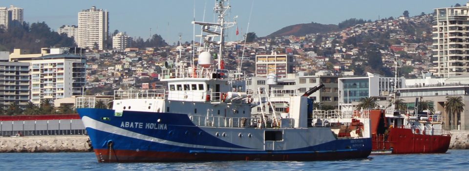 Ship Abate Molina, set sail to investigate  Horse mackerel between Arica and Valparaíso  regions