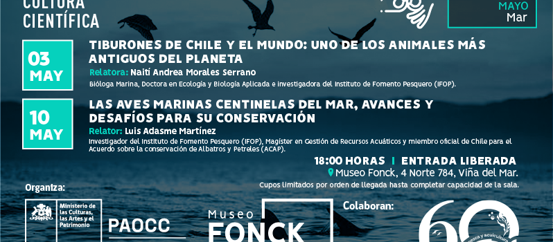 En el mes del Mar, Museo Fonck invita a conocer sobre tiburones y albatros en los “Viernes de Cultura Científica”