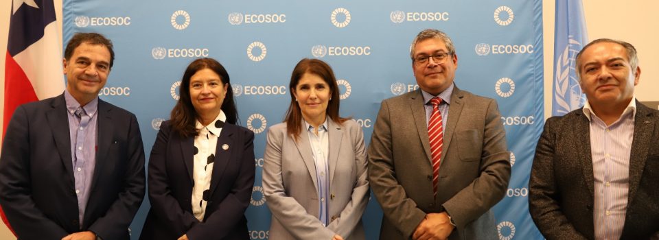 Delegación de IFOP asiste a reunión del Acuerdo de Pesca de Nueva York