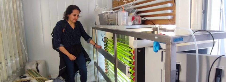 Johana Ojeda de IFOP, realiza visita técnica al centro de investigación Norce con sede en Bergen Noruega
