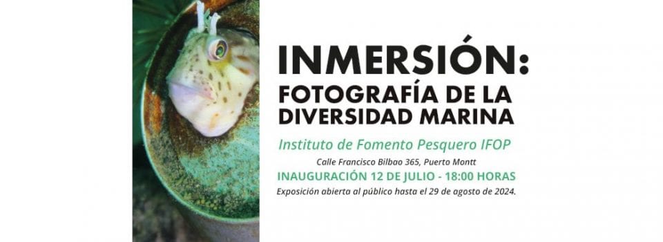 Balmaceda Arte Joven e IFOP buscan promover la conservación del ecosistema marino con inédita exposición artística para la comunidad en Los Lagos