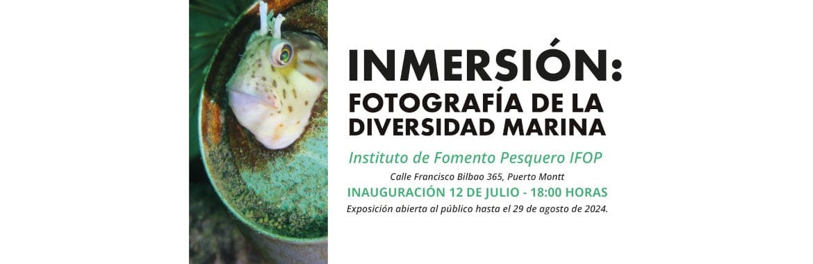 Balmaceda Arte Joven e IFOP buscan promover la conservación del ecosistema marino con inédita exposición artística para la comunidad en Los Lagos