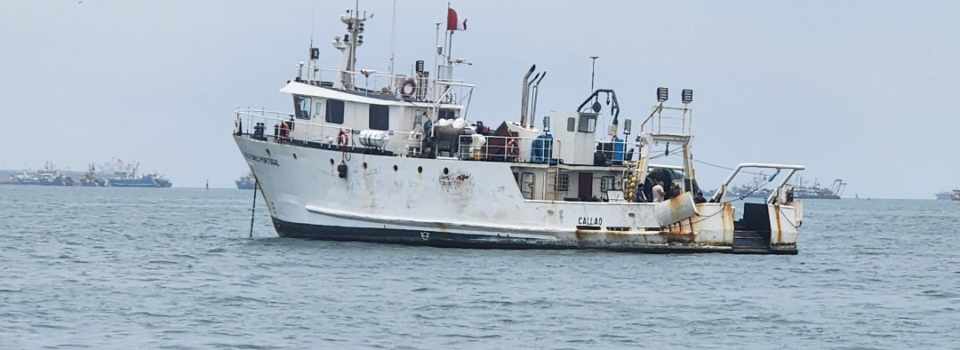 Professional exchange between the Fisheries Development Institute (IFOP) and the Peruvian Sea Institute (IMARPE)