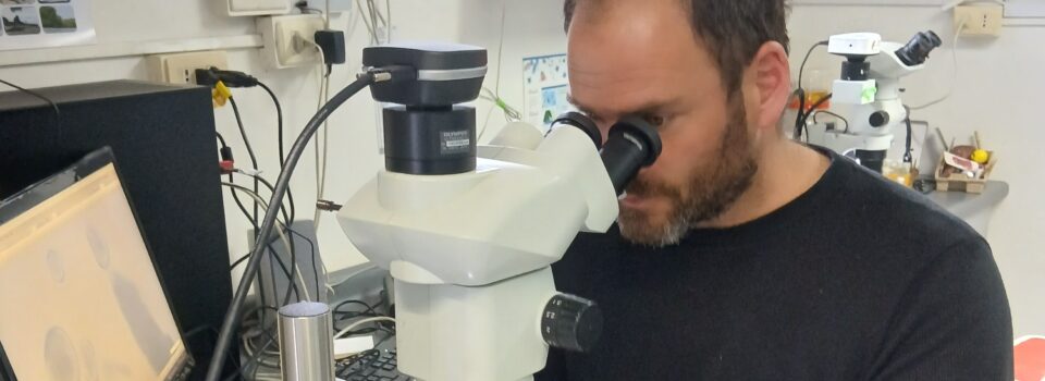 IFOP collaborates with Argentine researcher to implement mussel aquaculture in Patagonia