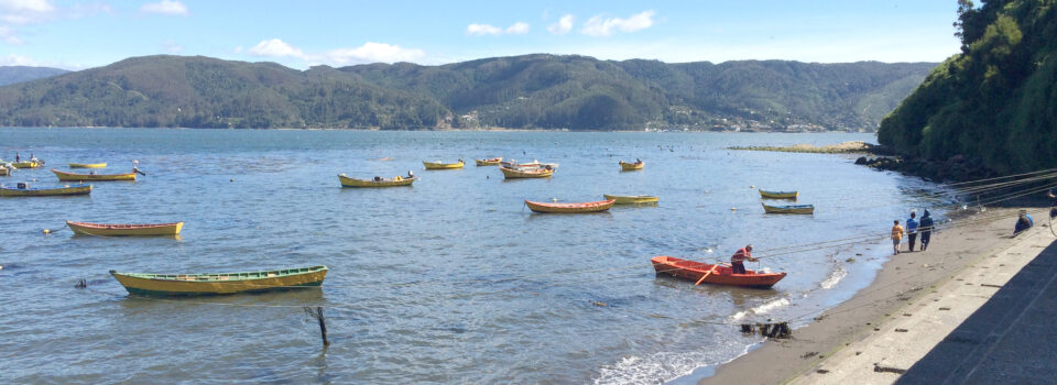 IFOP researcher Pedro Romero Maltrana presents “Adaptive capacity of artisanal fishermen in the face of climate change through productive diversification processes”.
