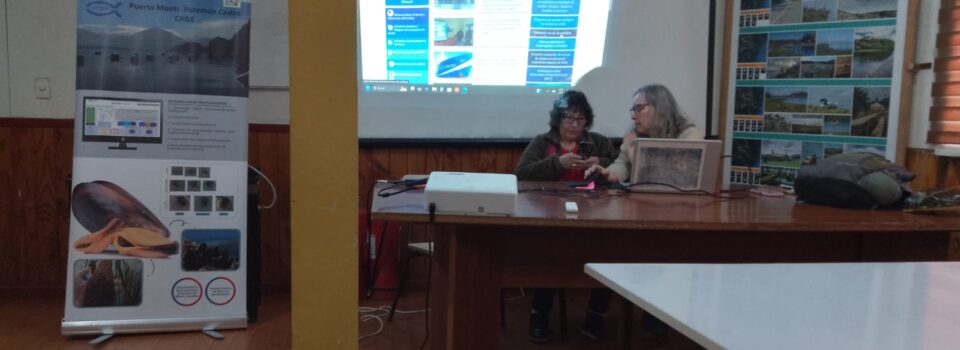 IFOP Aquaculture and Fisheries Divisions hold talks in Quellón