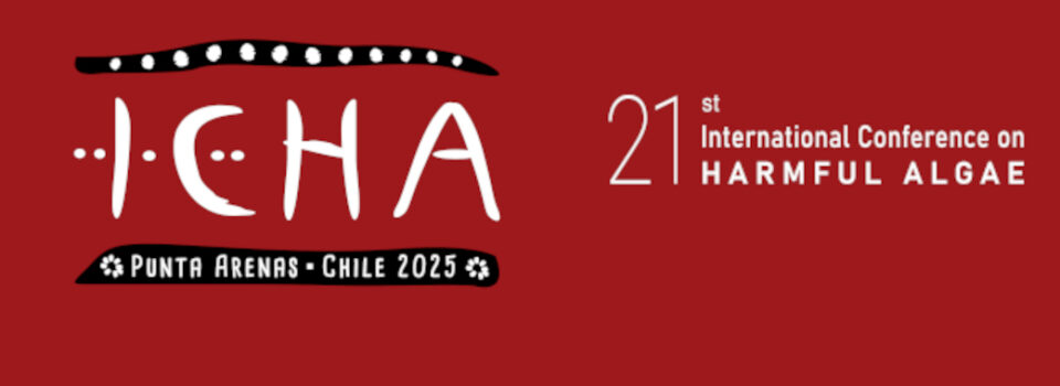 ¡RUMBO a ICHA2025!  Chile, Punta Arenas