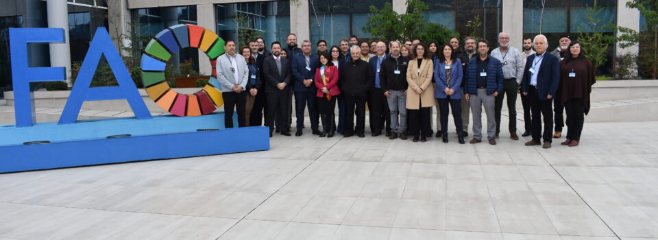 International Workshop on Swordfish Data and Scientific Research