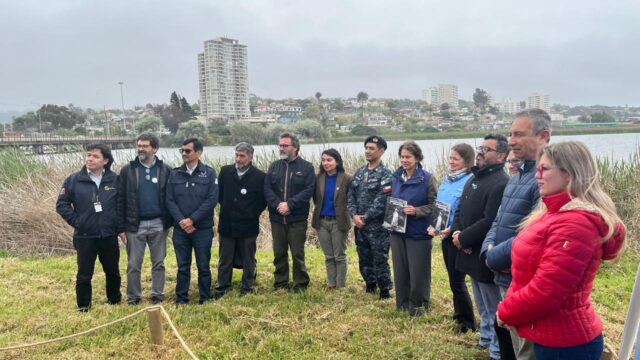 (Es) Chile presenta su nuevo Plan de Acción para la Conservación de Aves Marinas