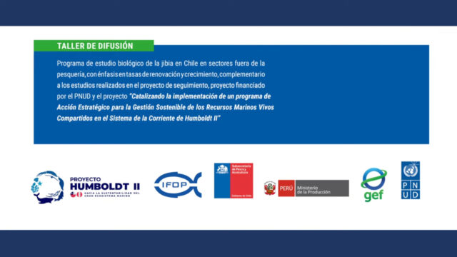 (Es) Taller de difusión: Programa de estudio biológico de la jibia en Chile, 26 de noviembre 2025