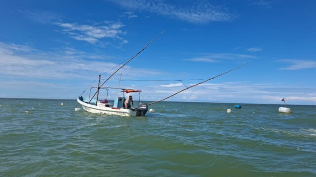 (Es) Investigadores y pescadores chilenos realizan pasantía en México en el marco del proyecto que busca mejorar la gestión de pesquerías de pequeña escala