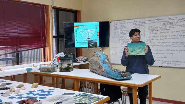 (Es) IFOP fortalece la formación docente inicial con actividad práctica en la Universidad Austral de Chile