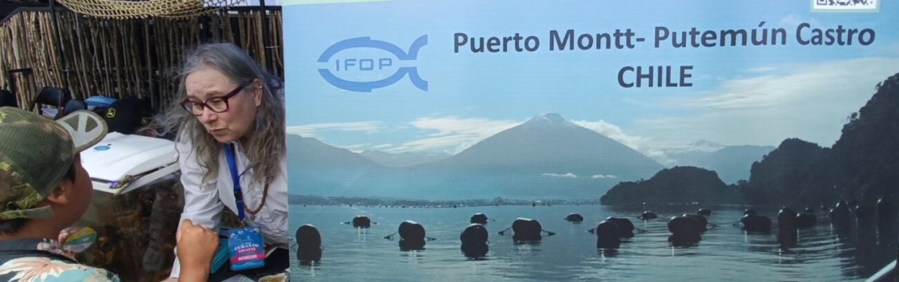 (Es) IFOP destacó con participación educativa en el Curanto Gigante de Calbuco, ante más de 8 mil asistentes