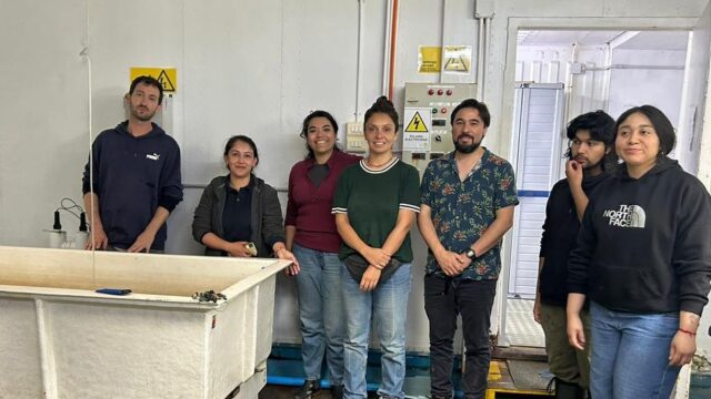 IFOP refuerza el plan de repoblamiento del choro zapato en el río Huellelhue