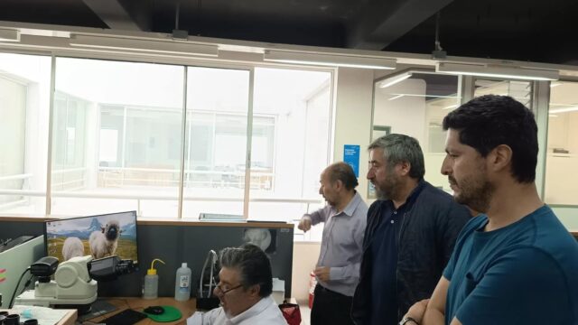 Inversión en ciencia fortalece el conocimiento para la gestión sostenible de la jibia