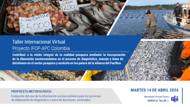 (Es) Amplia participación en el primer Taller Internacional del Proyecto IFOP – APC Colombia