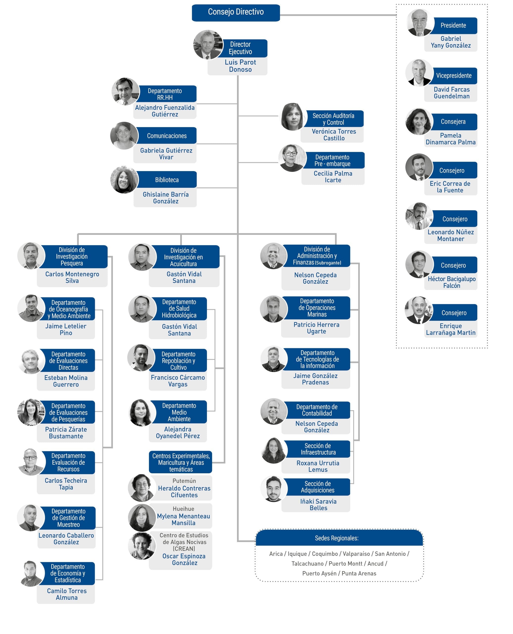 Organigrama IFOP