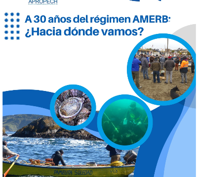 Seminario  “A 30 años del régimen AMERB: ¿Hacia dónde vamos?”