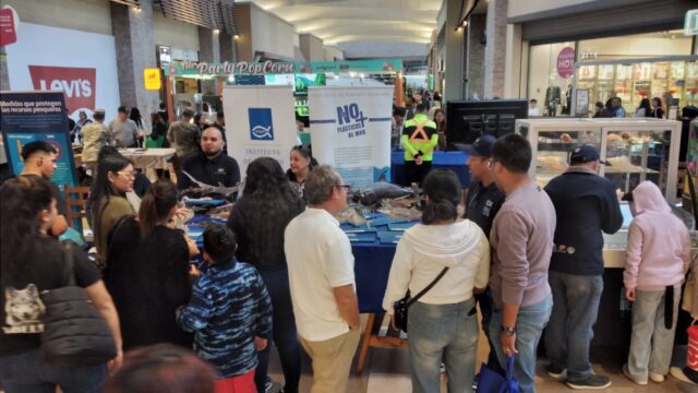 IFOP realizó actividades de difusión científica durante el Mes del Mar en Arica