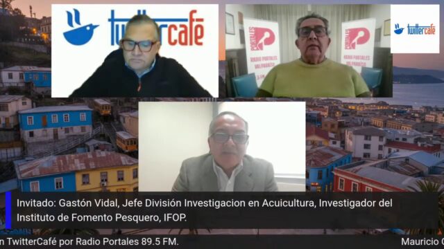 (Es) Entrevista a Gastón Vidal, Jefe División de Investigación en Acuicultura IFOP, programa TWITTERCAFE, Radio Portales, 25 mayo 2026