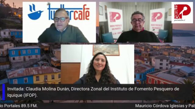(Es) Entrevista a Claudia  Molina, Directora Zonal IFOP Iquique, programa TWITTERCAFE, Radio Portales, 5 junio 2026