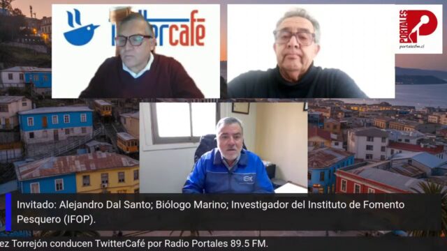 Entrevista a Alejandro Dal Santo, Director Regional IFOP Coquimbo, programa TWITTERCAFE, Radio Portales, 12 junio 2026