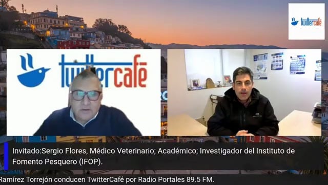 Entrevista a Sergio Flores, Investigador, programa TWITTERCAFE, Radio Portales, 19 junio 2026