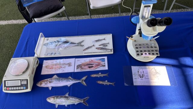 IFOP participa en Jornadas de Herramientas Tecnológicas del Proyecto Explora Tarapacá