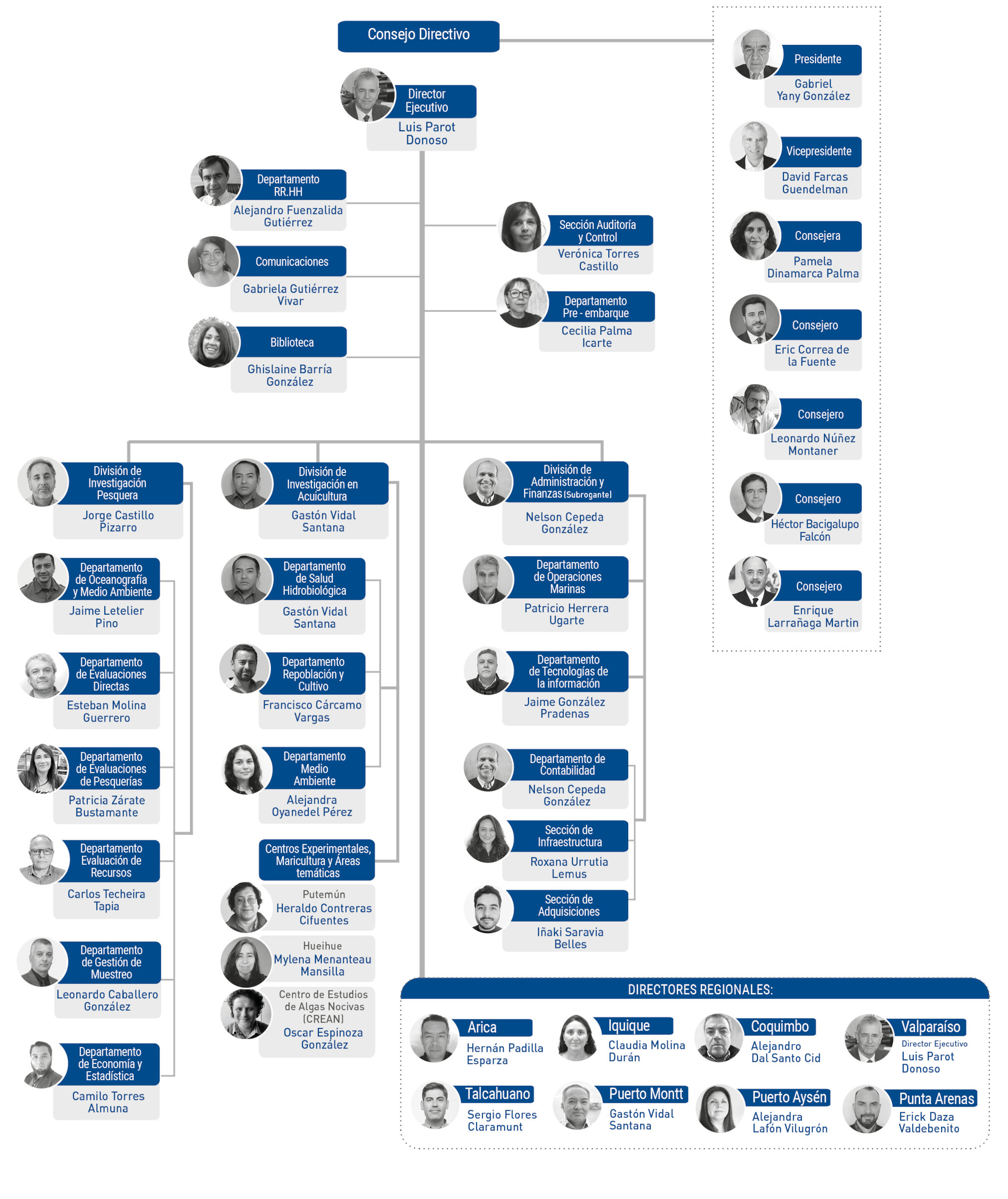 Organigrama IFOP