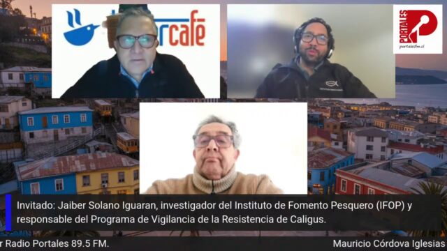 Entrevista a Jaiber Solano, Investigador, programa TWITTERCAFE, Radio Portales, 03 julio 2026