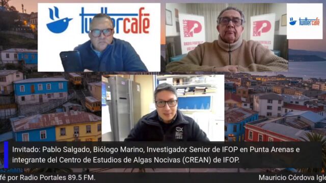 Entrevista a Pablo Salgado, Investigador, programa TWITTERCAFE, Radio Portales, 24 julio 2026